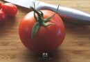 Čo je pomodoro technika pre produktivitu a proti prokrastinácii