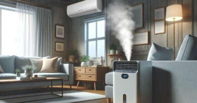 Môže sa používať zvlhčovač vzduchu a klimatizácia naraz?